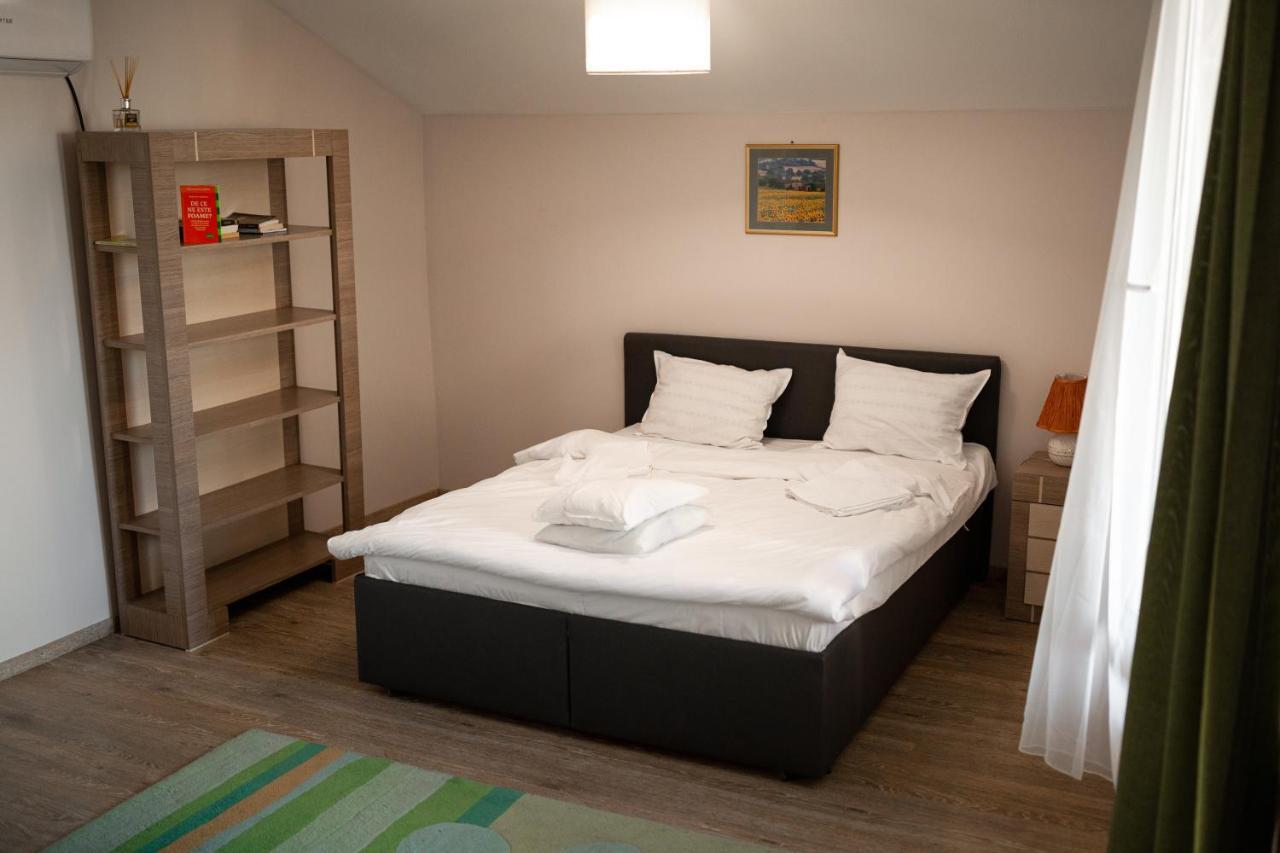 Viking Apartment Grigo Cluj Napoca Bagian luar foto