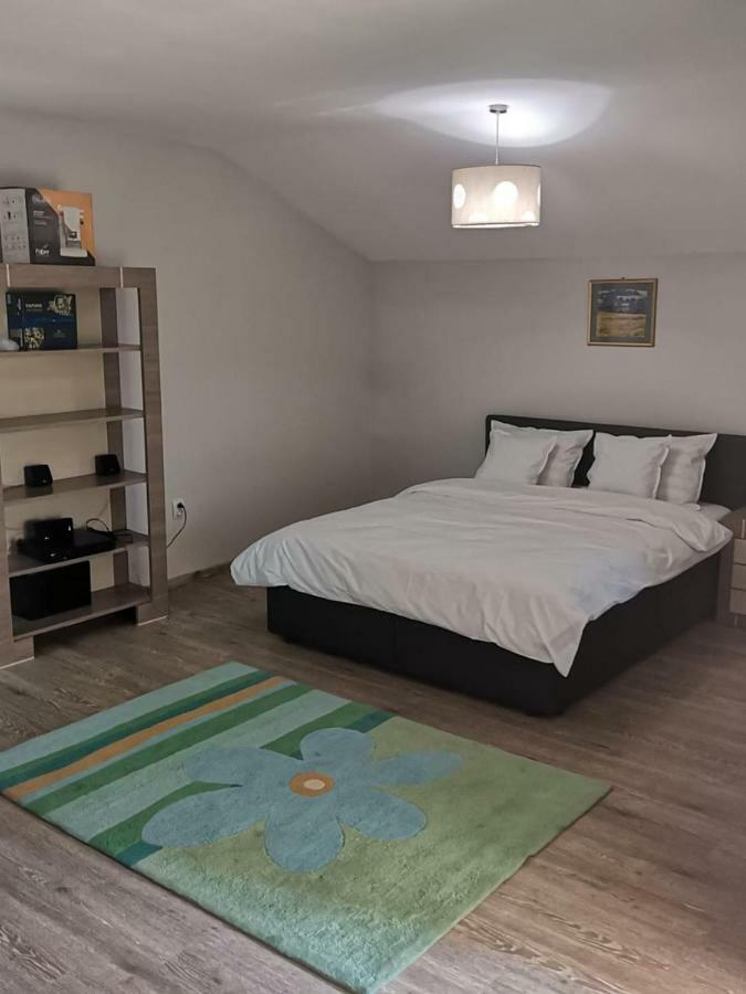 Viking Apartment Grigo Cluj Napoca Bagian luar foto